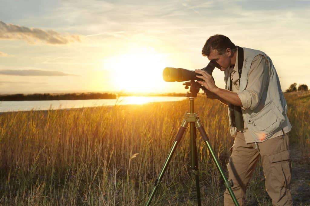 Birdwatching / Vogelbeobachtung im Nationalpark Neusiedler See - Seewinkel