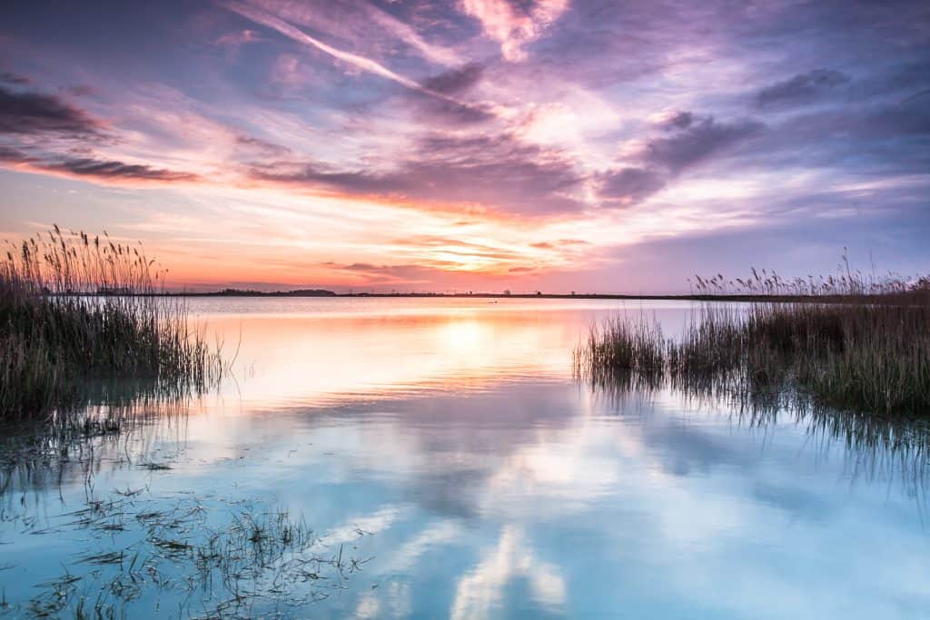 Morgenstimmung am Neusiedler See