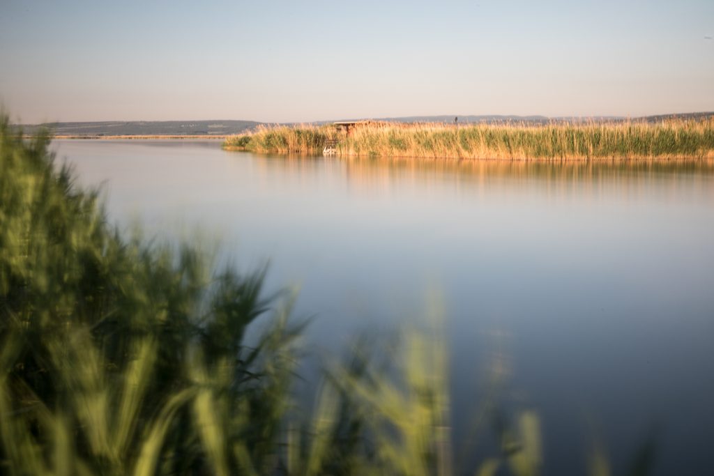 Ferien bei Hofmeister, Urlaub, Ferien, Neusiedler See, Podersdorf, Burgenland, Ferienwohnung, Gästezimmer, Pension